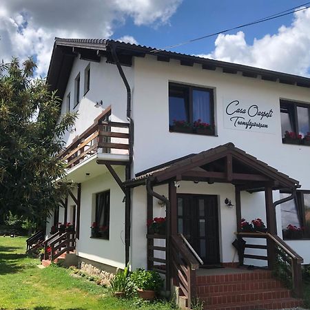 Casa Oaspeti Transfagarasan Apartment Cartisoara Ngoại thất bức ảnh