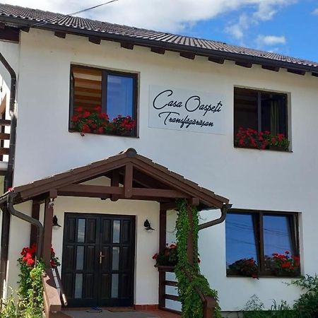 Casa Oaspeti Transfagarasan Apartment Cartisoara Ngoại thất bức ảnh