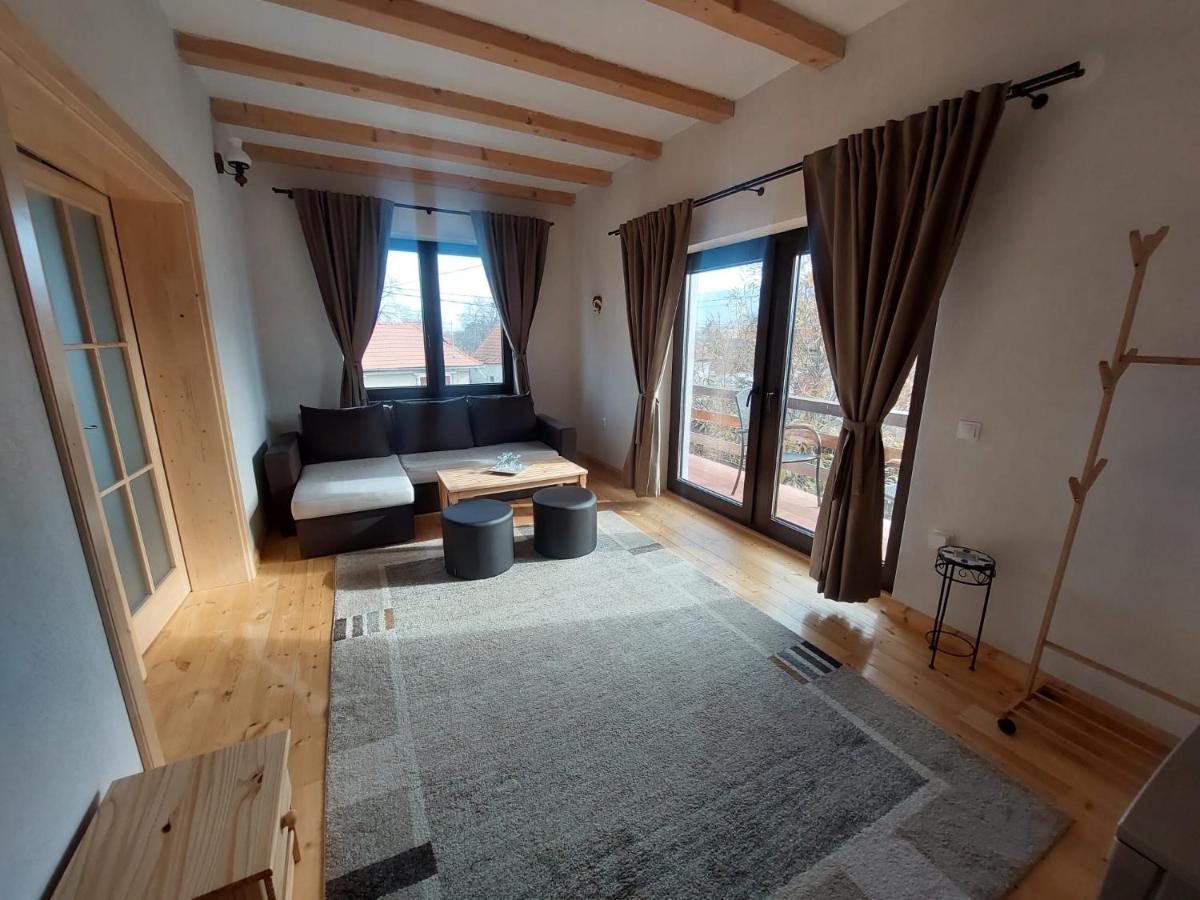 Casa Oaspeti Transfagarasan Apartment Cartisoara Ngoại thất bức ảnh