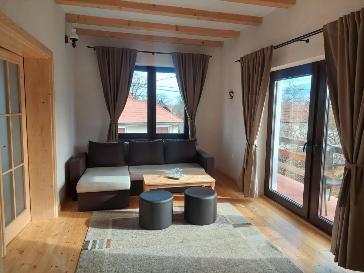 Casa Oaspeti Transfagarasan Apartment Cartisoara Ngoại thất bức ảnh