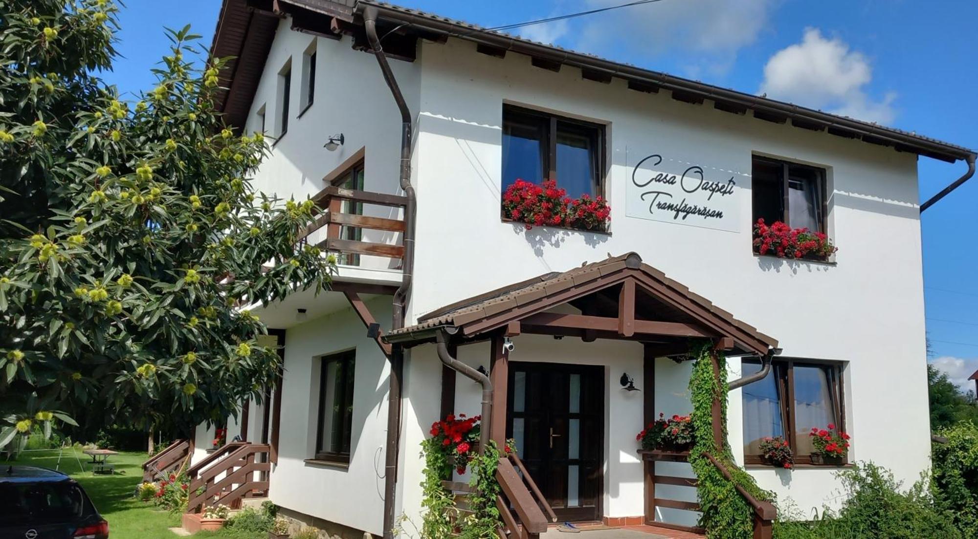 Casa Oaspeti Transfagarasan Apartment Cartisoara Ngoại thất bức ảnh