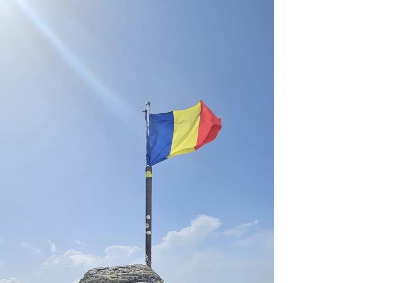 Casa Oaspeti Transfagarasan Apartment Cartisoara Ngoại thất bức ảnh